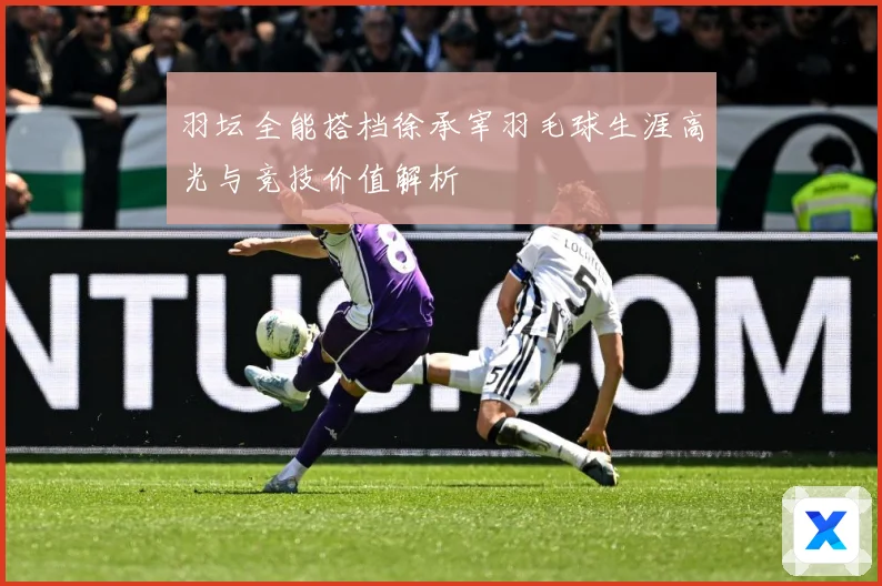 羽坛全能搭档徐承宰羽毛球生涯高光与竞技价值解析