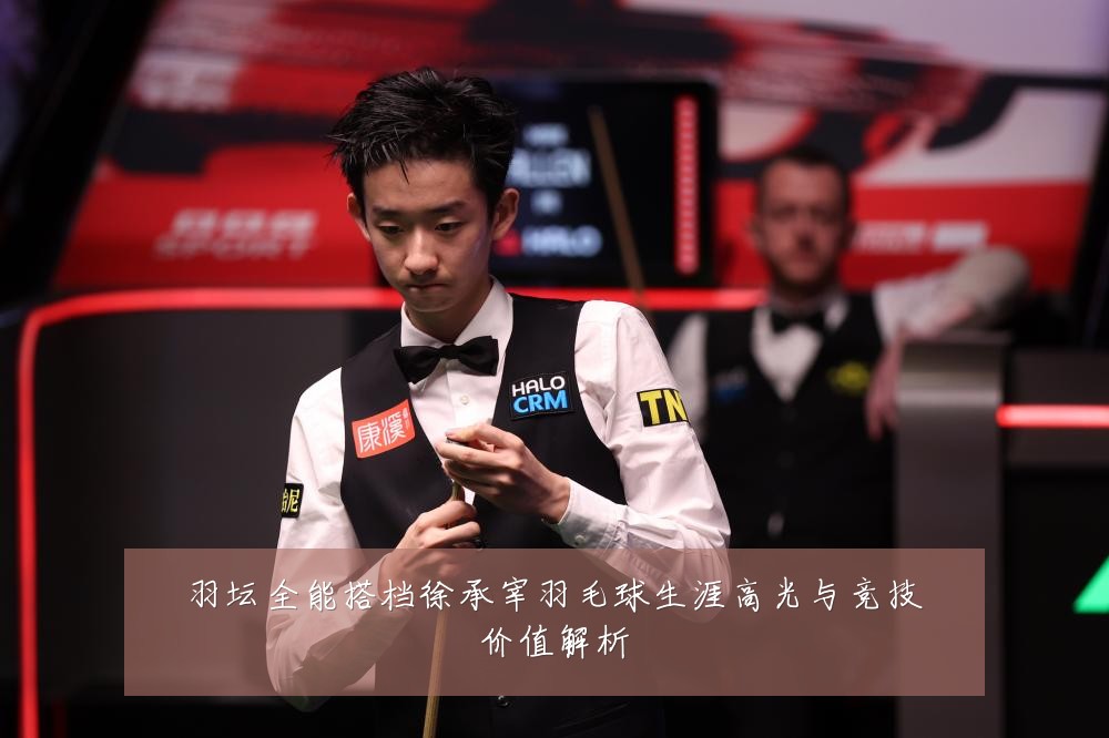 羽坛全能搭档徐承宰羽毛球生涯高光与竞技价值解析